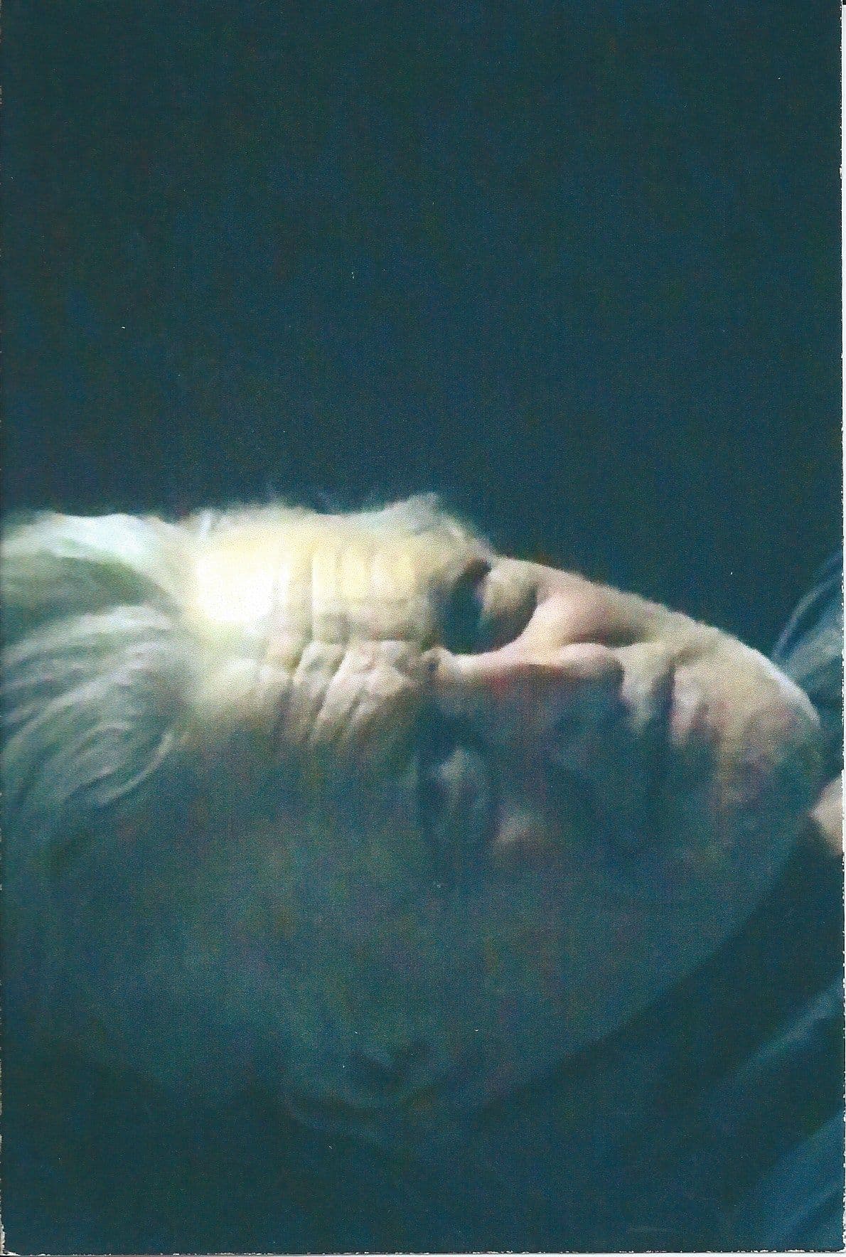 Cargar montagna poster