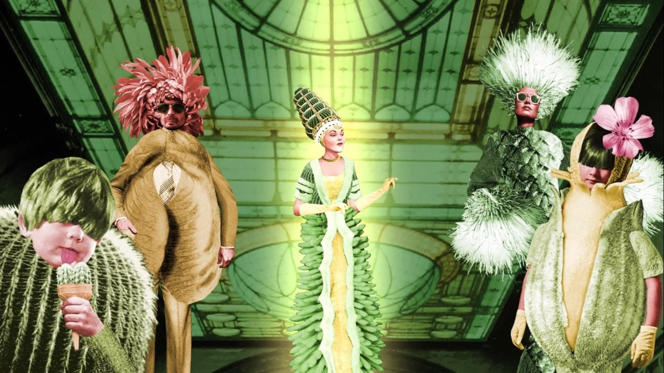 ALLA MODA film card