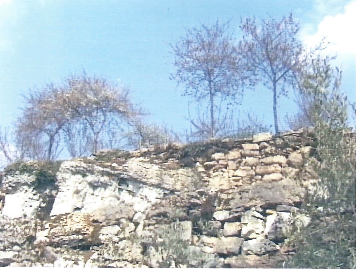 Cuceti film card