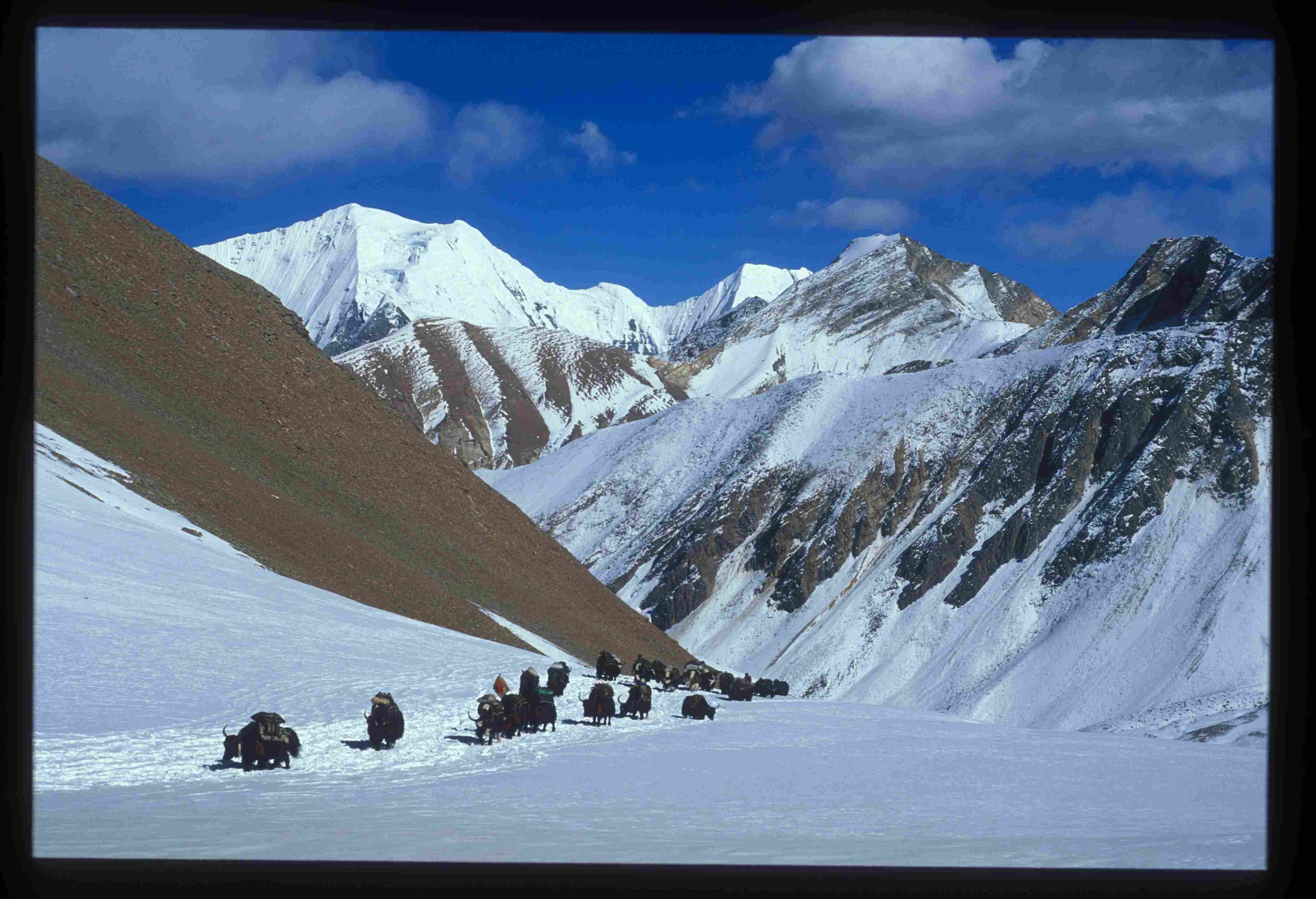 Attraversando l'Himalaya poster